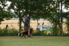 Begleithundeprüfung (12.07.2024)