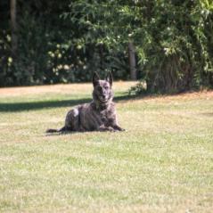 IMG_9794
