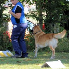 img_3507_20191011_1248835600