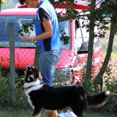img_3516_20191011_1511514986