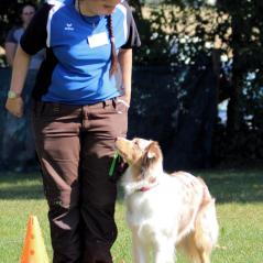 img_3560_20191011_1664031313