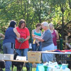 img_4393_20191011_2091883792