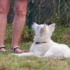 IMG_9885