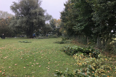 Arbeitseinsatz (16.10.2021)
