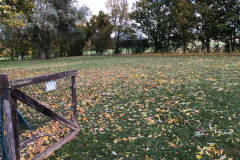 Sturm (21.10.2021)
