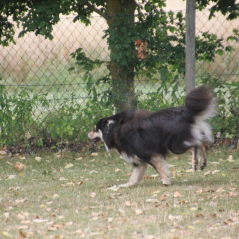 img_1663_20220801_1791007449