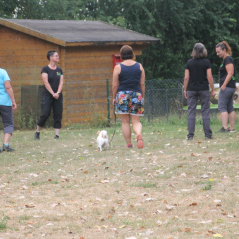 img_1670_20220801_1451863104