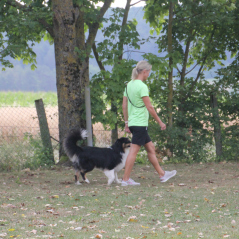 img_1746_20220801_1718668959