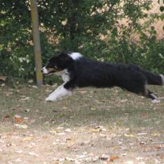 img_1753_20220801_1940996548