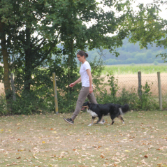 img_1779_20220801_1085802882