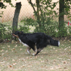 img_1791_20220801_1251529273