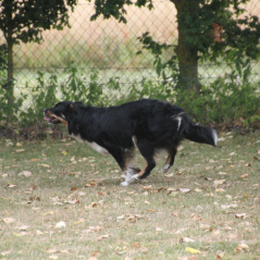 img_1792_20220801_1207411138