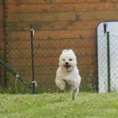 img_3763_20230516_1143482632