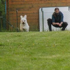 img_3764_20230516_1615776687