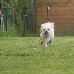 img_3765_20230516_1342579189