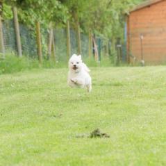 img_3767_20230516_1315789782