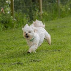 img_3771_20230516_1852675712