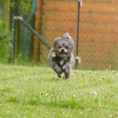 img_3782_20230516_1031917672