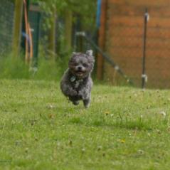 img_3783_20230516_1977875418