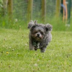 img_3784_20230516_1994320906