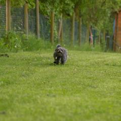 img_3785_20230516_1966283386