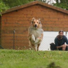 img_3804_20230516_1115219467
