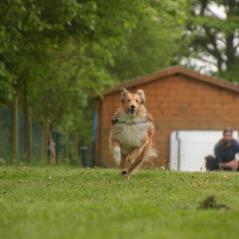 img_3806_20230516_1954639869