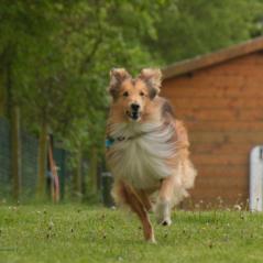 img_3807_20230516_1293031992