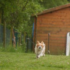 img_3815_20230516_1694960645