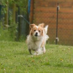 img_3816_20230516_1624405645