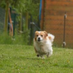 img_3817_20230516_1934064525