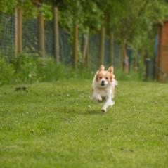 img_3818_20230516_2097849277