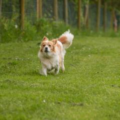 img_3820_20230516_1510865161