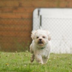 img_3832_20230516_1915468282