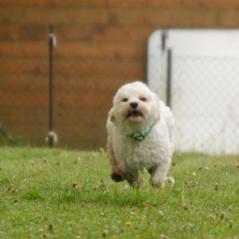 img_3833_20230516_1729679733