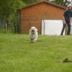 img_3834_20230516_1451222580