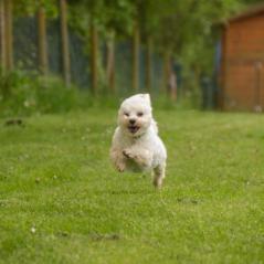 img_3837_20230516_1431497489