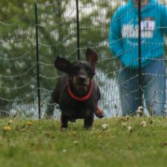 img_3845_20230516_1843100202