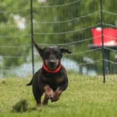 img_3849_20230516_1215524433