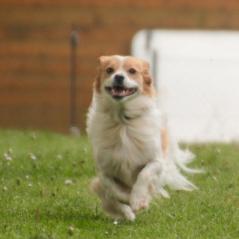 img_3865_20230516_1912966574