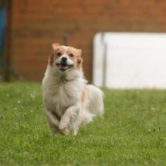 img_3866_20230516_1150861258