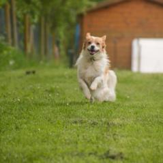 img_3867_20230516_1718964263