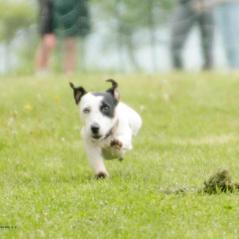 img_3875_20230516_1265125282