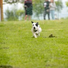 img_3876_20230516_1829231183