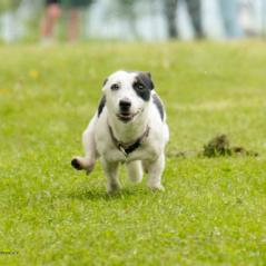 img_3877_20230516_1885378358