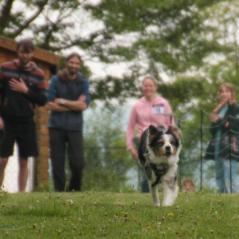 img_3887_20230516_1603091470