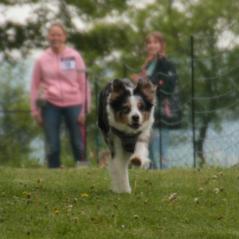 img_3888_20230516_1571571553