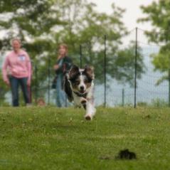 img_3889_20230516_1111490408