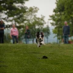 img_3890_20230516_1634005682