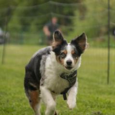img_3895_20230516_1786899722